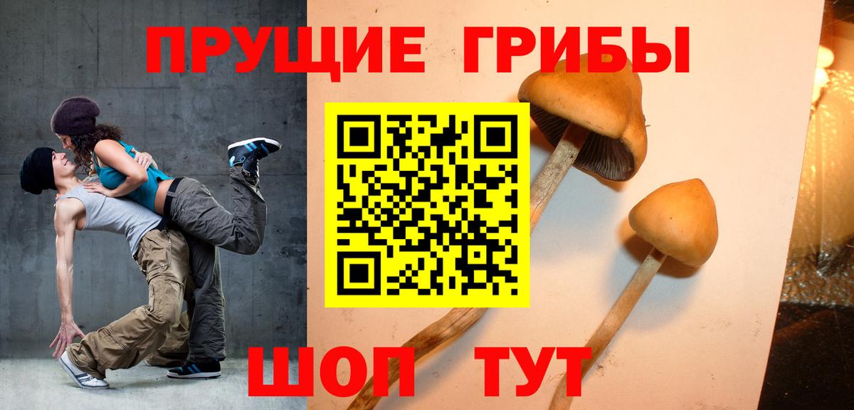 Псилоцибиновые грибы Magic Shrooms Богородицк