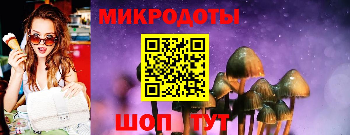 Псилоцибиновые грибы ЛСД  купить  сайты  Вход с VPN  Богородицк  Псилоцибиновые грибы ЛСД 